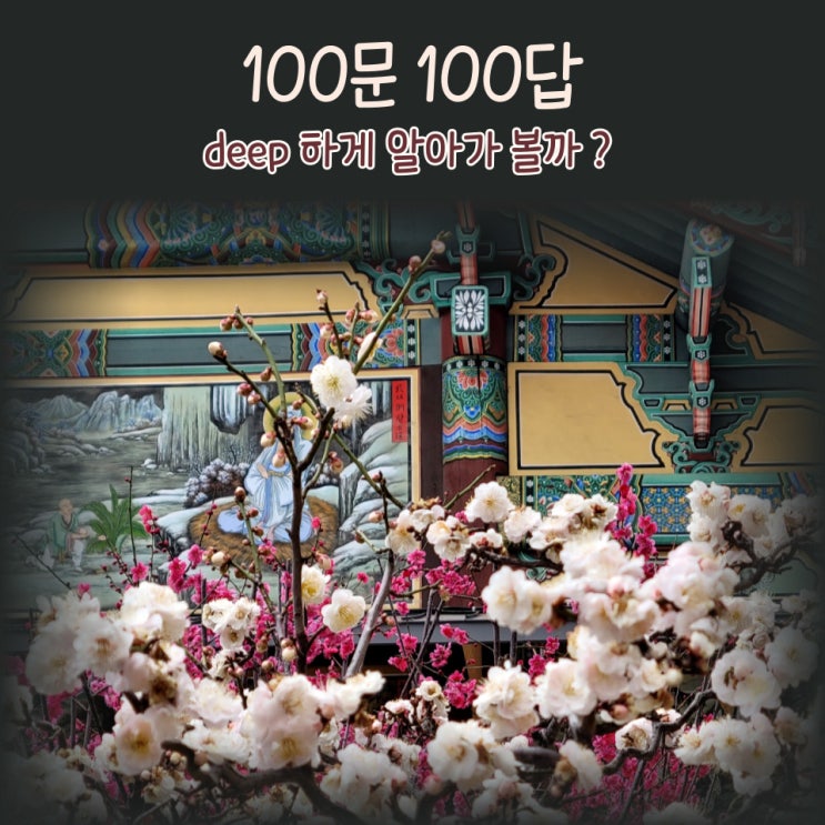  블로그 챌린지 100문 100답 : 제가 궁금하신가요