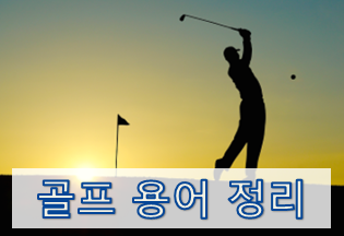  [초보를 위한 골프용어 정리] 필드 관련 1