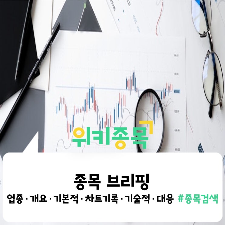  종목 브리핑