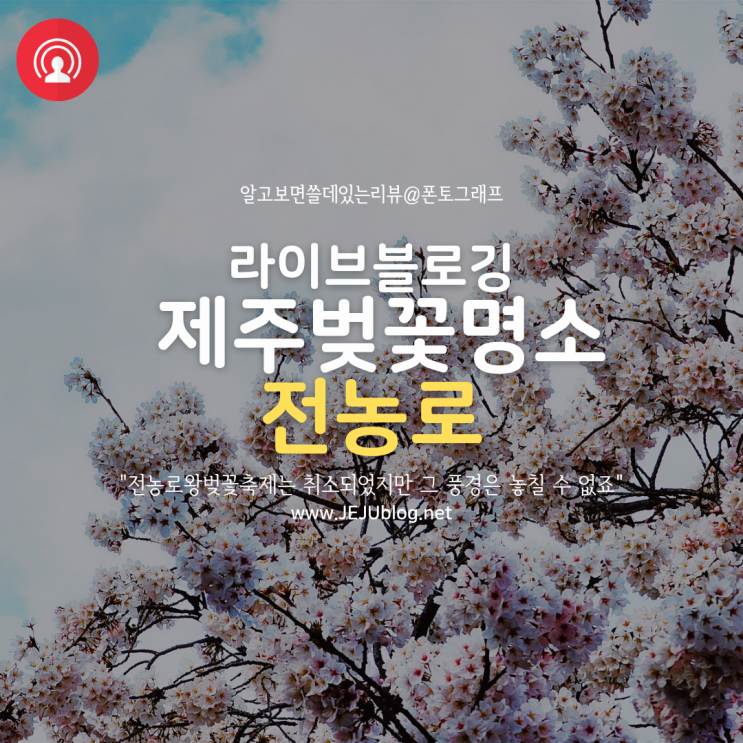  2022년 전농로 왕벚꽃축제는 취소 되었지만 벚꽃놀이는 멈출 수 없었어요!
