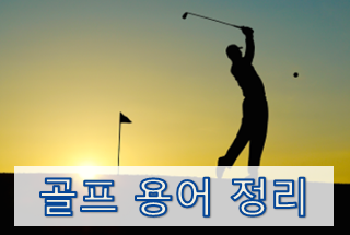  [초보를 위한 골프용어 정리] 골프 룰 및 코스 관련