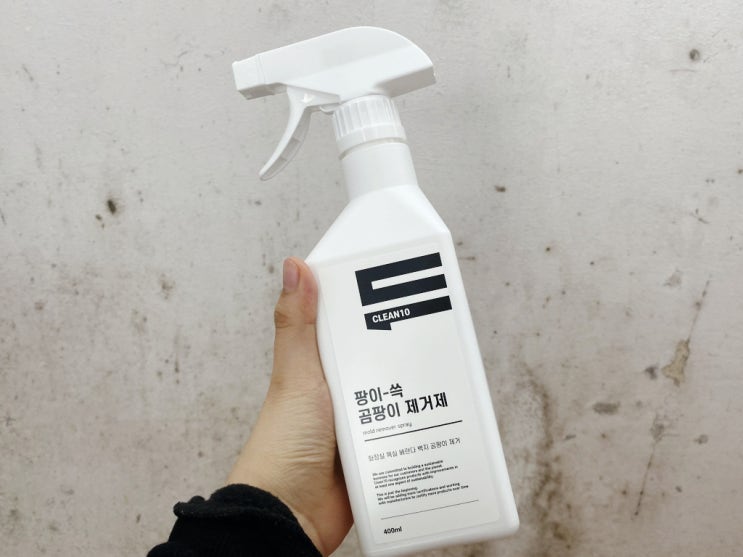  벽곰팡이제거제 덕분에 깔끔해졌네