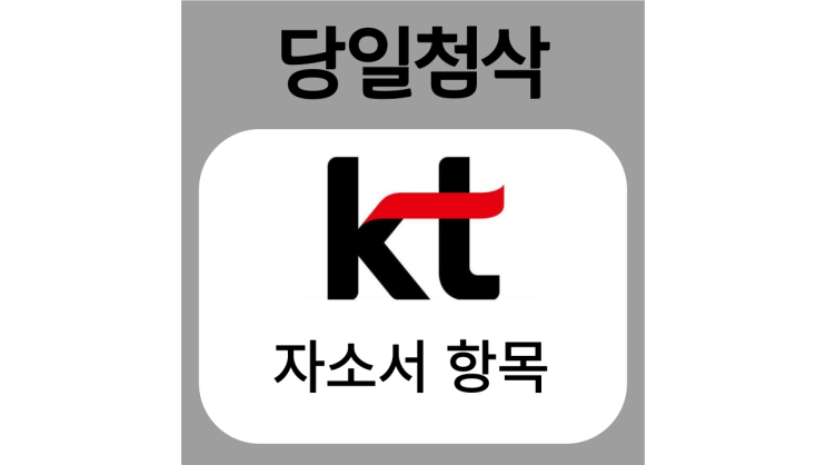 kt신입사원 및 채용전환형 인턴채용 자기소개서 문항 자소서 항목 작성방법 가이드라인 첨삭받기 kt신입사원 및 채용전환형 인턴채용 자기소개서 문항 자소서 항목 작성방법 가이드라인 첨삭받기