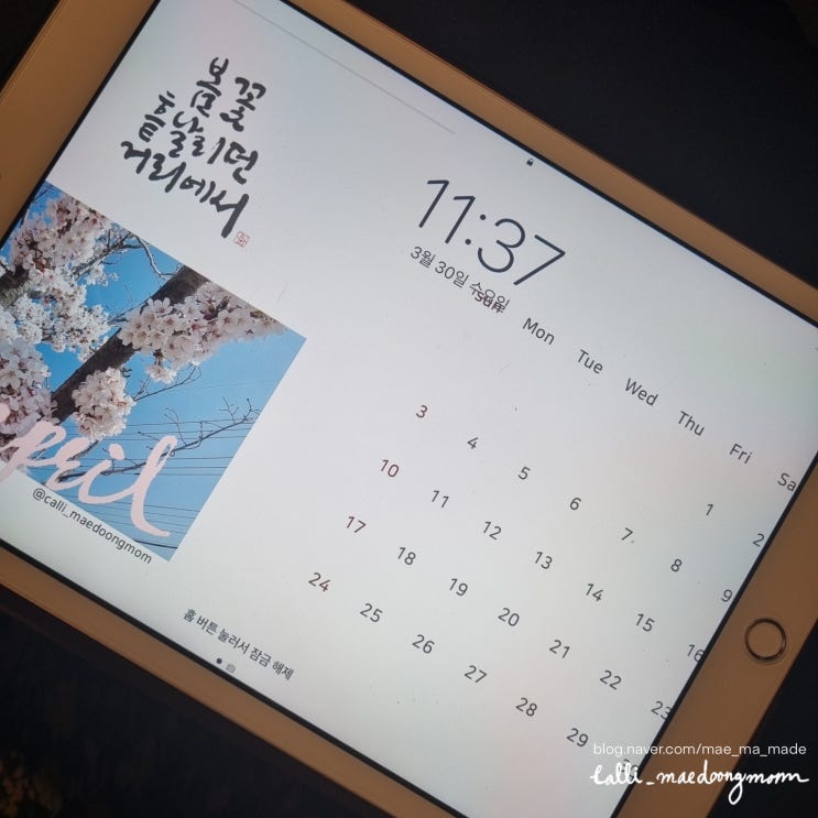  무료배경화면 4월 봄을 나눔합니다