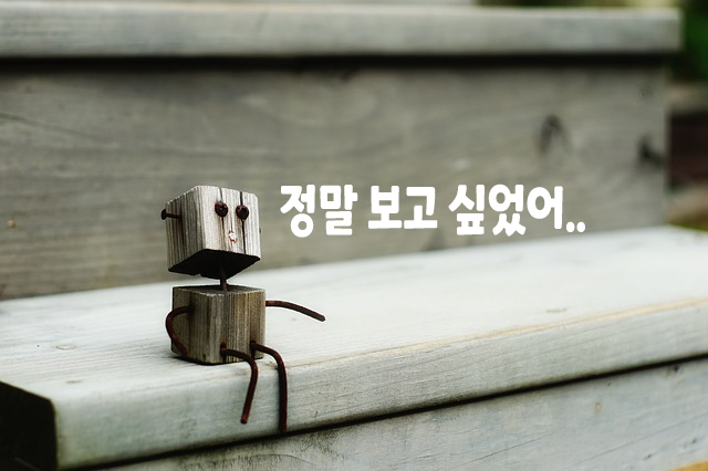 정말 보고싶었어