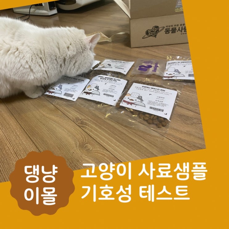  댕냥이몰 고양이 사료샘플 기호성테스트