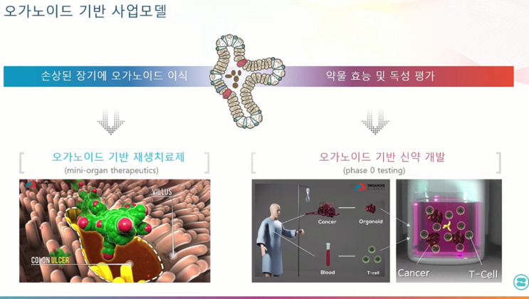  오가노이드사이언스 "재생신약 비임상 마무리 내년 1상 돌입"