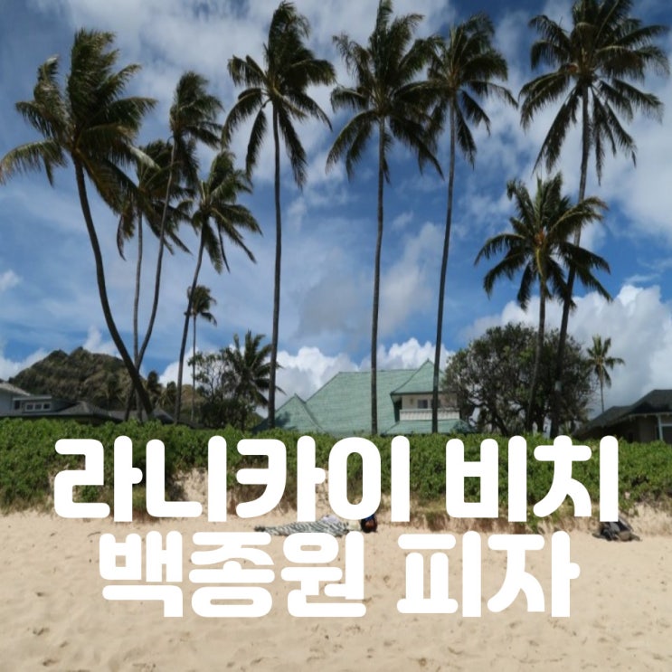  하와이 라니카이 해변과 하와이 백종원 피자 소피스 피자리아 최고!