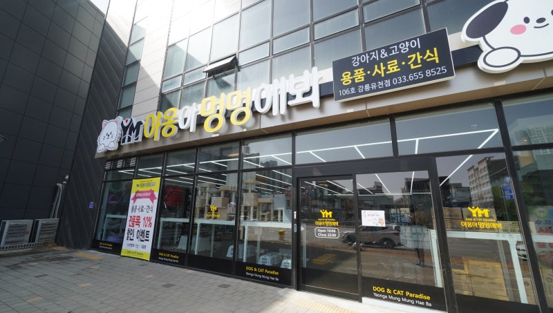 사진 7