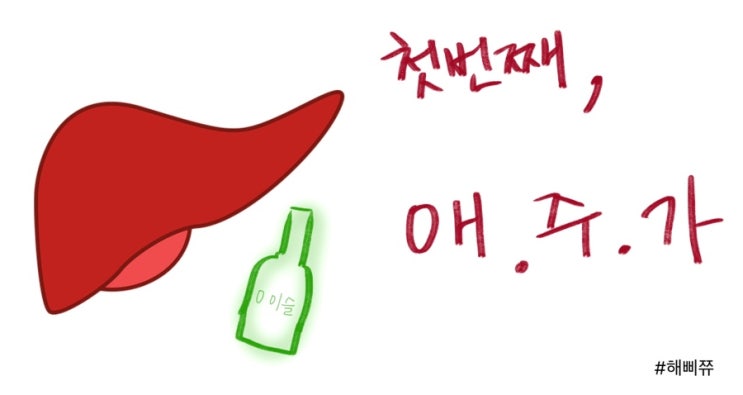  간수치가 높은 이유 , 간수치 낮추는법은?