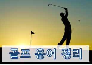  [초보를 위한 골프용어 정리] 골프 클럽 관련
