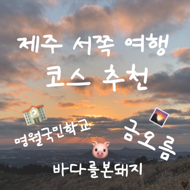  제주 한달살이 거주자가 추천하는 제주 서쪽 여행 코스 : 명월국민학교 - 금오름 - 바다를 본 돼지