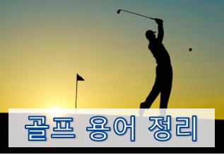  [초보를 위한 골프용어 정리] 스윙 / 샷 관련