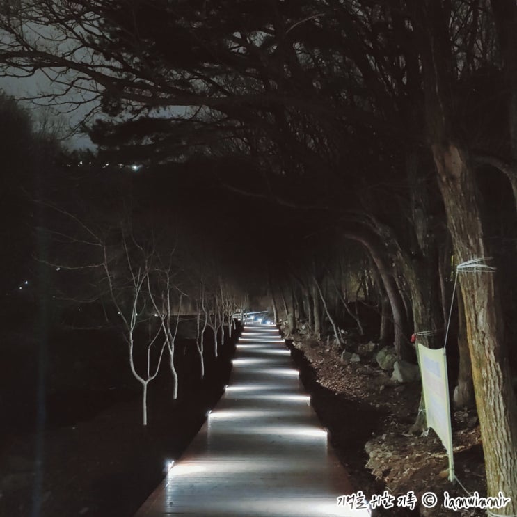 2022.03.21 ~ 31 기록 2022.03.21 ~ 31 기록
