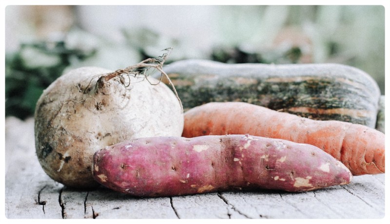고구마껍질 음식물 일반 쓰레기 안돼요! : 네이버 블로그