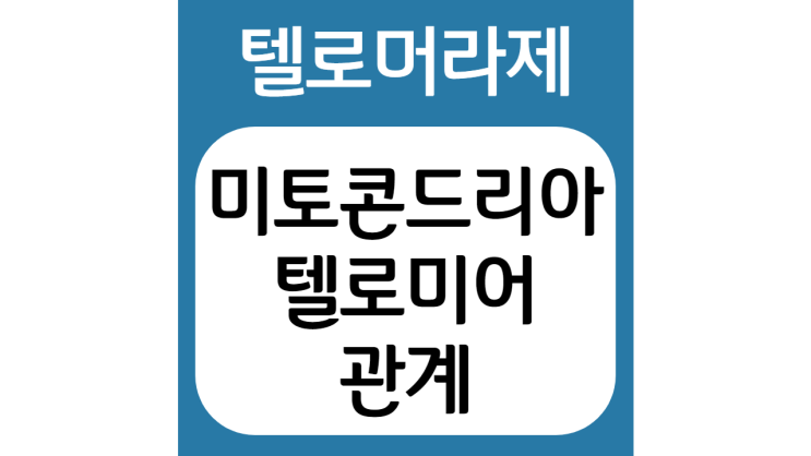  미토콘드리아와 텔로미어의 상관관계