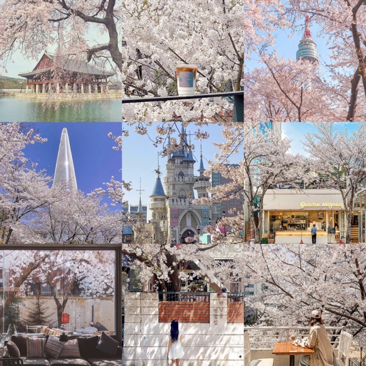  서울 벚꽃명소,벚꽃카페 추천 모음 (봄)