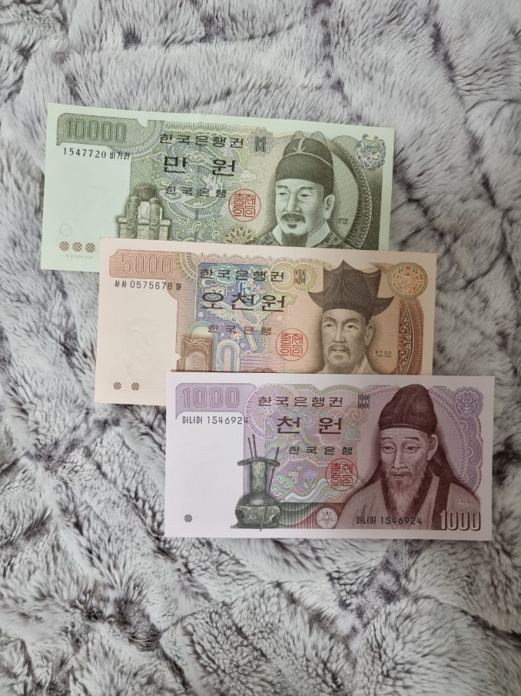 [한국 화폐 변천사] 한국 지폐의 변천사를 알아보자! &lt;오천 원 지폐&gt; 편 - 구권 지폐 이야기