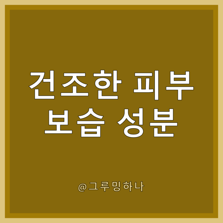  악건성 피부 보습 관리 성분 4가지 (스쿠알란, 히알루론산, 세라마이드, 글리세린)
