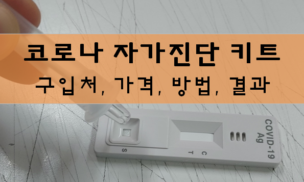  코로나 자가진단 총정리 - 키트, 검사, 결과