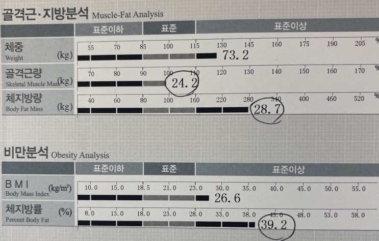 [까치산PT]/올데이 2호점/PT회원님 1달차 & 인바디 변화/강채린 트레이너