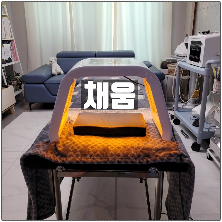 채움 남성 의정부 피부관리샵 여성 의정부 속눈썹 펌 전문 채움 남성 의정부 피부관리샵 여성 의정부 속눈썹 펌 전문