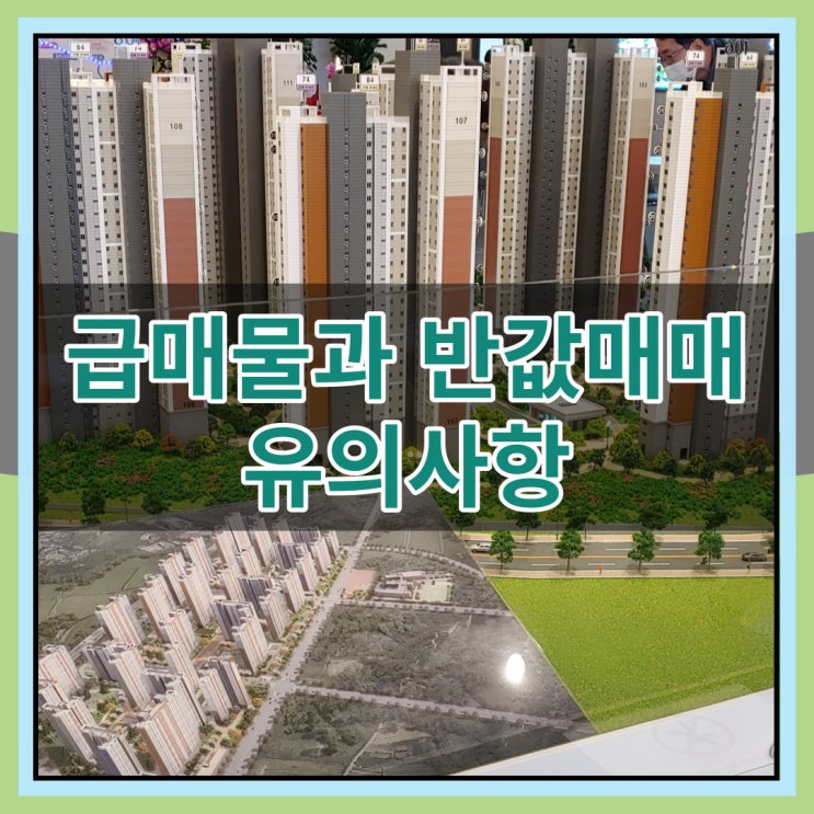  급매물과 반값매매 유의사항 체크하자