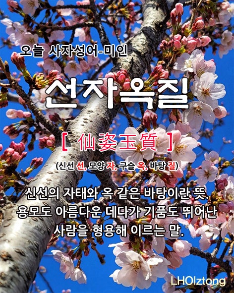  [820] 오늘 사자성어 선자옥질(仙姿玉質)의 뜻은?