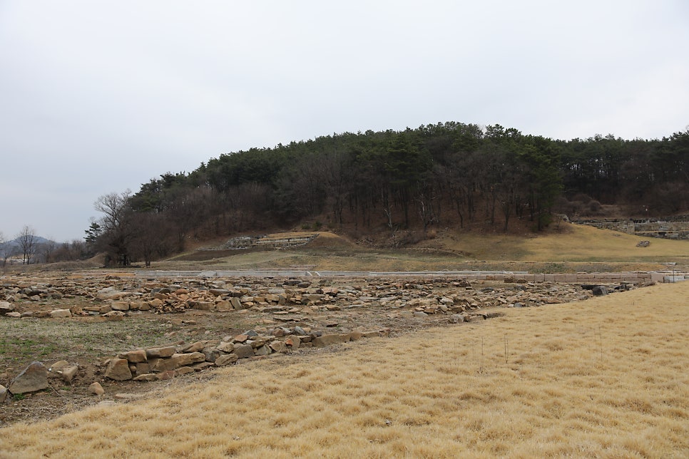 또다시봄 사진 3