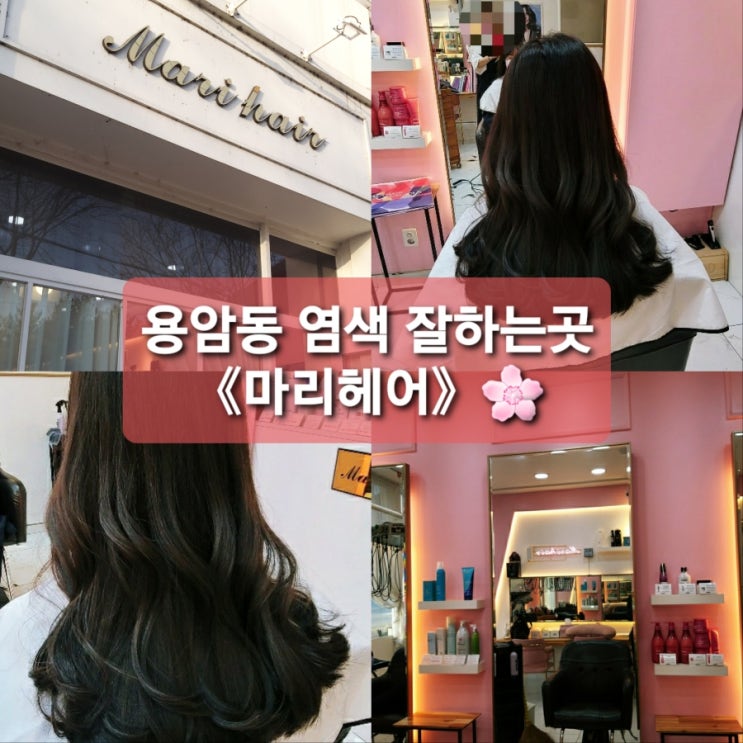  청주 용암동 미용실/ 애쉬염색 잘하는 청주미용실️《마리헤어》