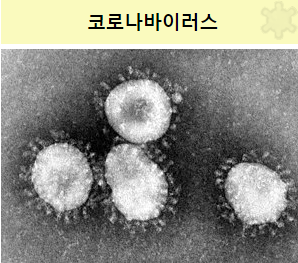 전주덕진선별진료소 의 모든것!