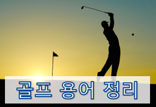  [초보를 위한 골프용어 정리] 구질 / 자세 / 타격 관련