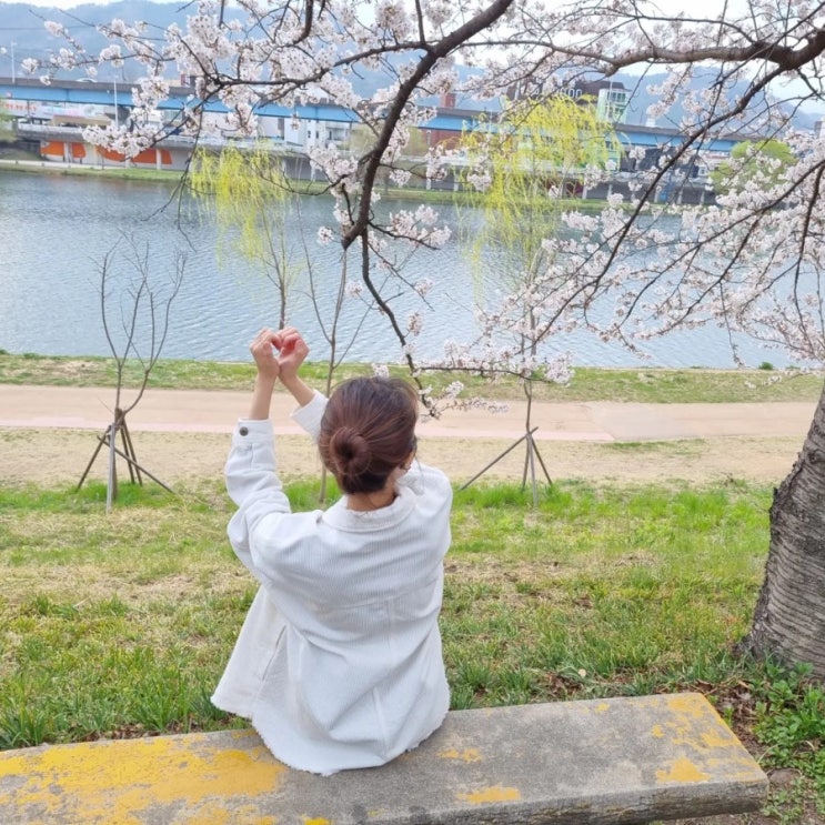 순천 벚꽃 명소 리스트 : 상사호 드라이브 동천 벚꽃터널 순천대 벚꽃 개화시기