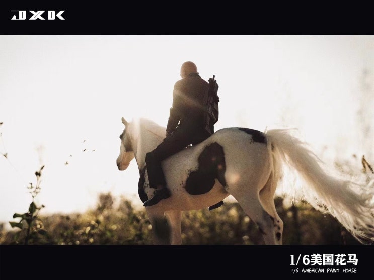  [출시 소식] 『JxK Studio』1/6 American paint horse (아메리칸 페인트 말)