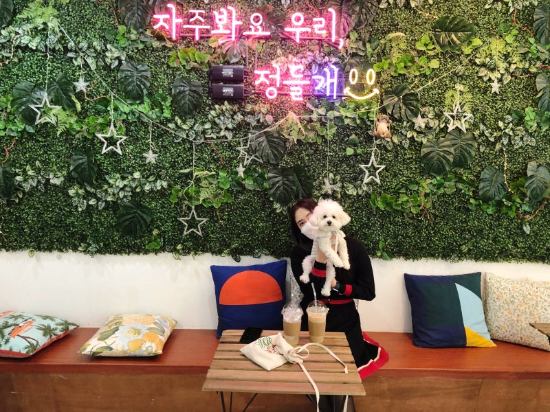 사진 9