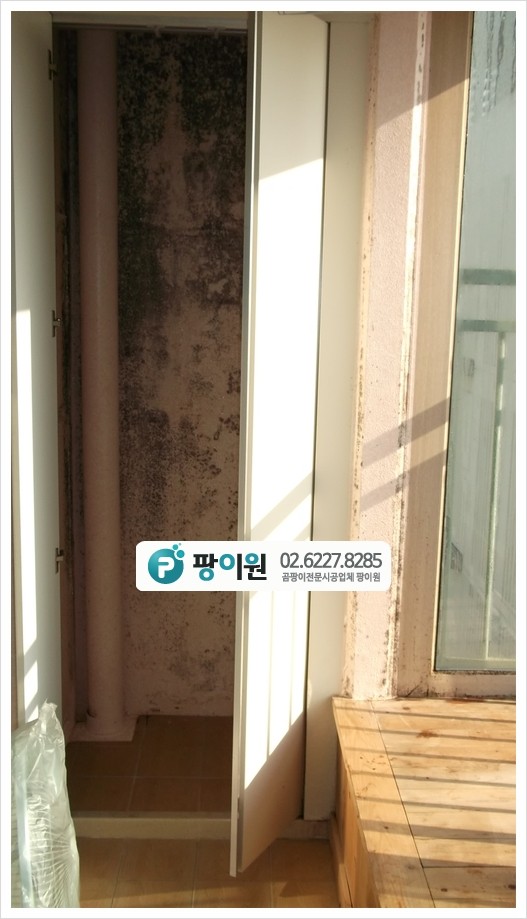  탄성코트 베란다 곰팡이제거 후 살균!