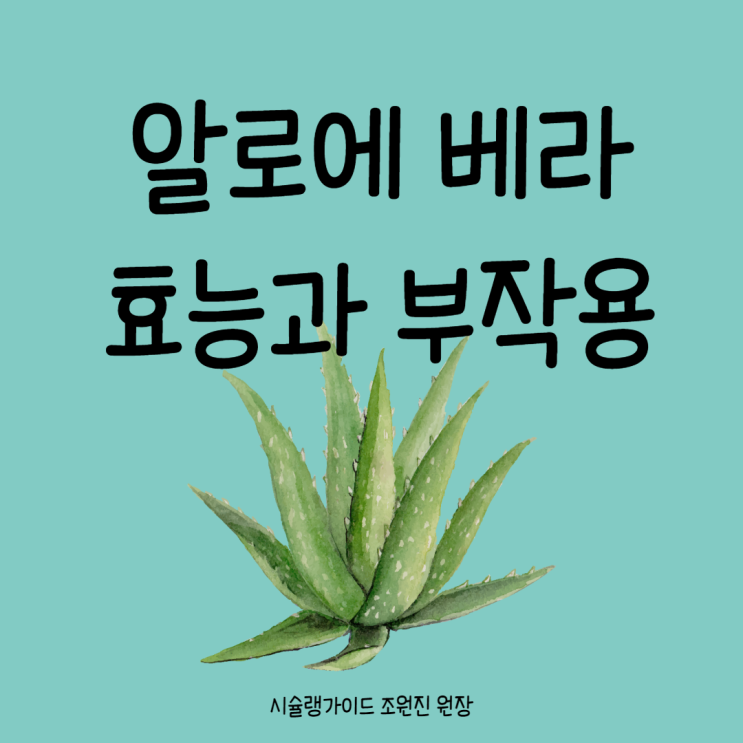 알로에 베라(Aloe Vera)- 변비약? 화장품?