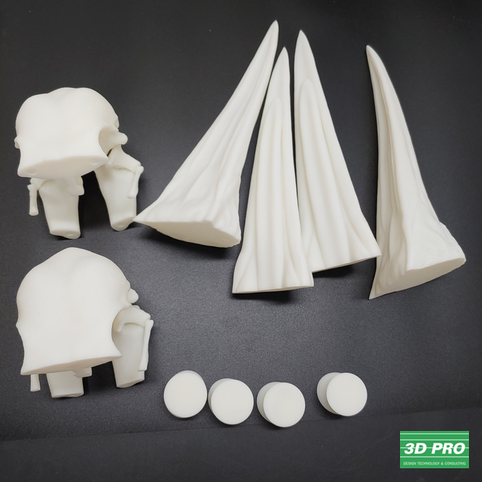 3D프린팅으로 뼈 모형 출력물 제작/ 3D 프린터 시제품 출력/대학생 졸업작품/ SLA 레이저 방식/ABS Like 레진 소재/ 쓰리디프로/3D프로/3DPRO 