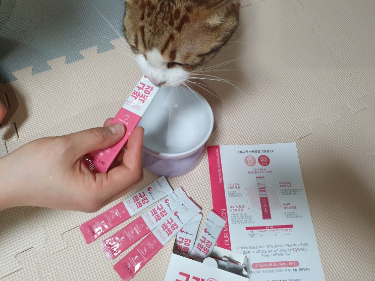  고양이영양제: 구강싹싹으로 고양이 양치 해결 (기호성 너무 좋아)