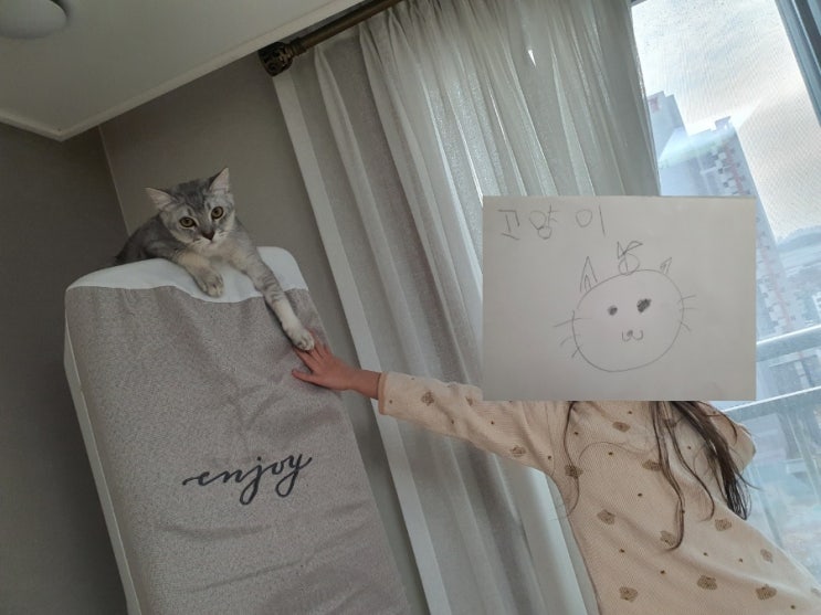  고양이와 천지창조