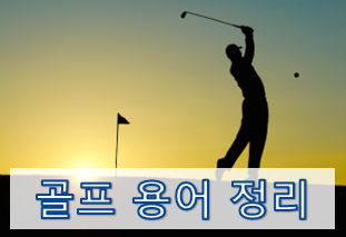  [초보를 위한 골프용어 정리] 스코어 및 기타