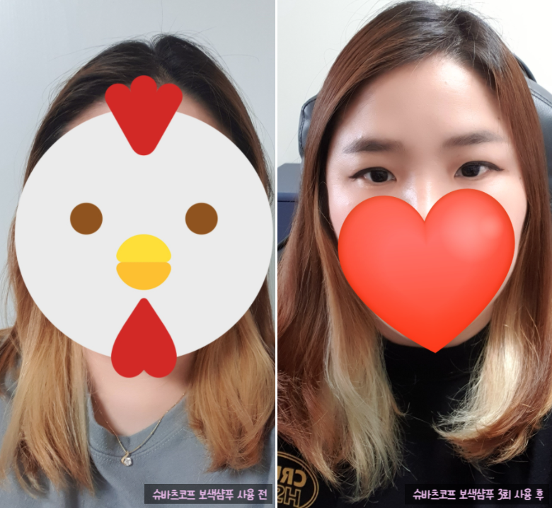 탈색 후 보색샴푸 사용방법 슈바츠코프 보색샴푸 실제 사용 리얼 후기