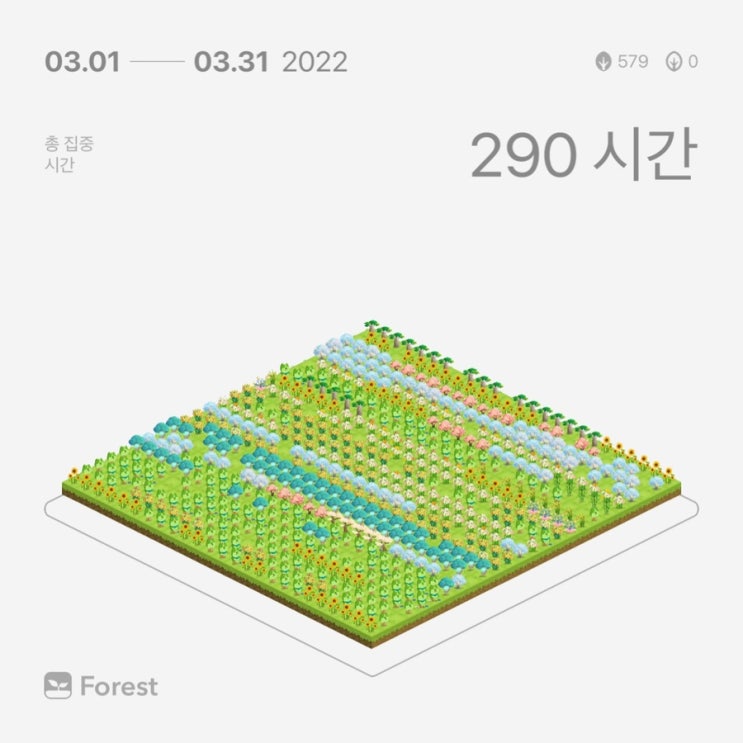  3월 마무리 일기