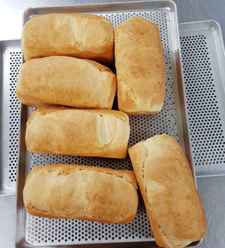 제빵기능사 실기 / 앙버터 버터톱식빵 / 원루프 화산폭발 모양내기 힘든 버터톱 식빵