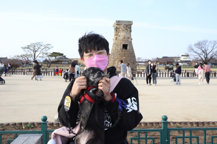  경주 당일치기 애견동반여행 신난다