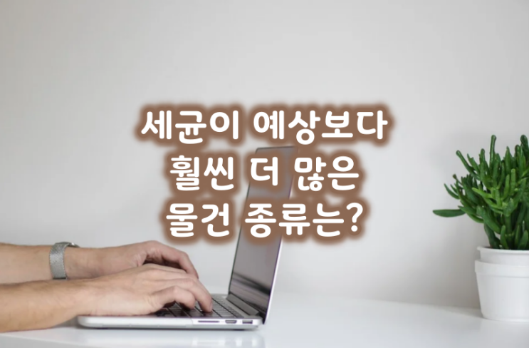  세균이 예상보다 훨씬 더 많은 물건 종류는?