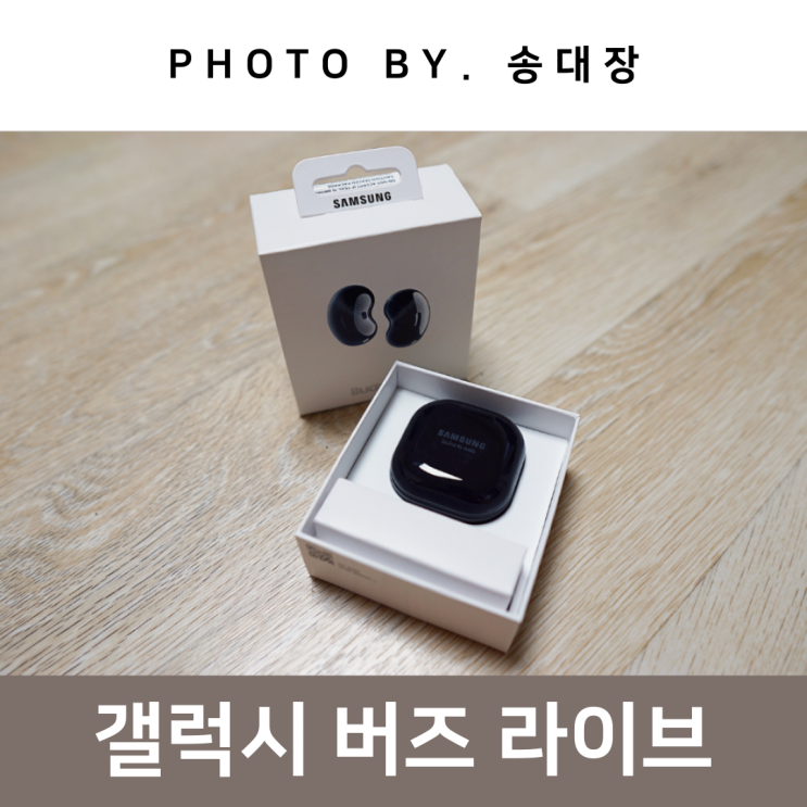 갤럭시 버즈 라이브 SM-R180 / 송대장
