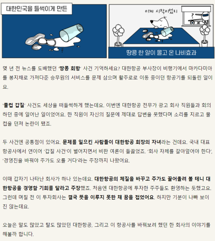 dig 매일경제- 대한항공,의결권이란?