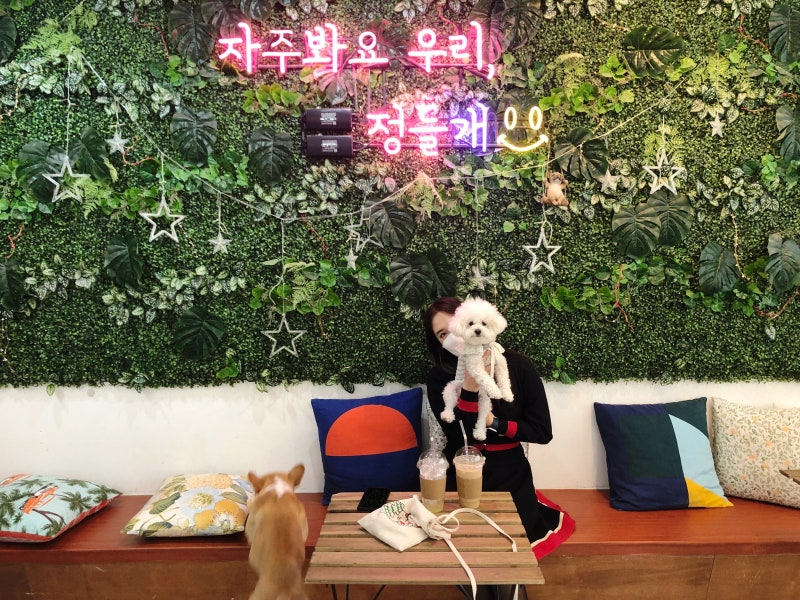 사진 8