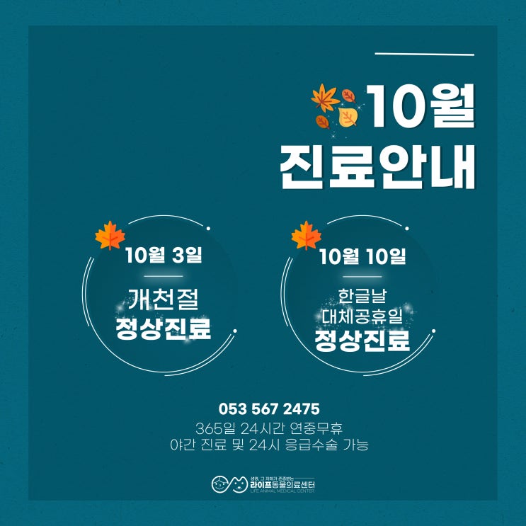 대구 개천절, 대체공휴일 동물병원 열린 곳 : 정상진료 합니다 24시라이프동물의료센터 대구 개천절, 대체공휴일 동물병원 열린 곳 : 정상진료 합니다 24시라이프동물의료센터